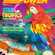 Image for article titled The Quirky Voyage of StarTropics